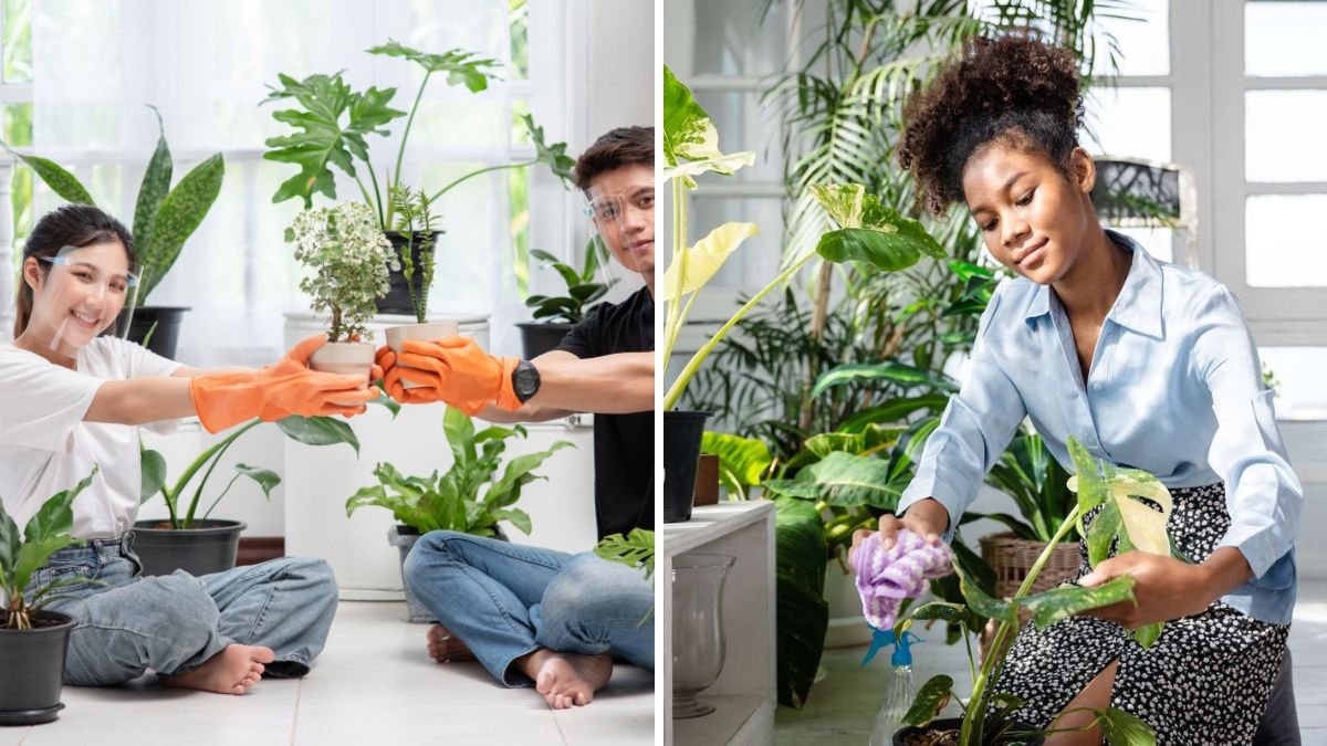 Why You Should Care About Plants: The Life-Changing Magic of Green Companions