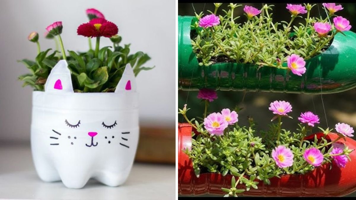 Creative Plastic Bottle Gardening: Easy Cutting Ideas to Grow Plants at Home