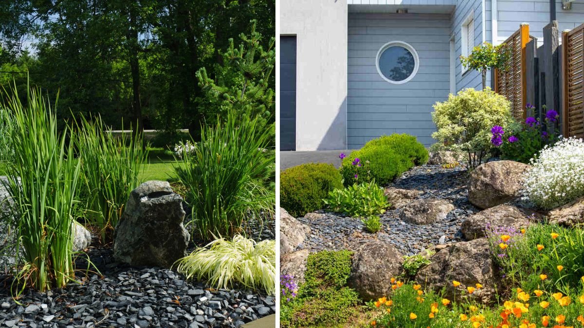 Simple Strategies for Creating a Beautiful Low Water Landscape That Conserves Resources