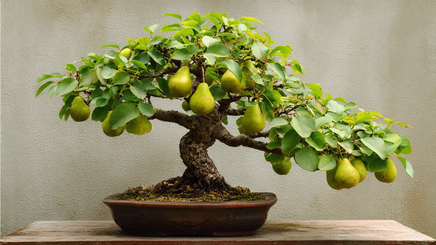 Growing Pear Bonsai from Seed to Tree a Comprehensive Guide