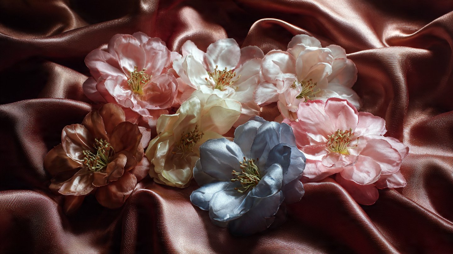 How to Grow Satin Flowers Easily: The Best Method for Vibrant Blooms