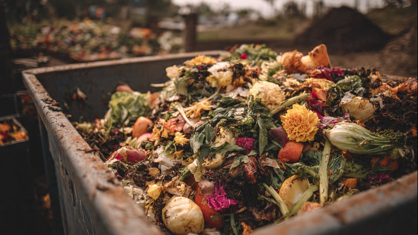 Consequences of Overheated Compost in Bins Explained