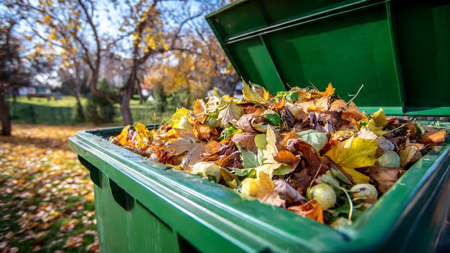 Understanding the Risks of Overheating Compost in Closed Bins